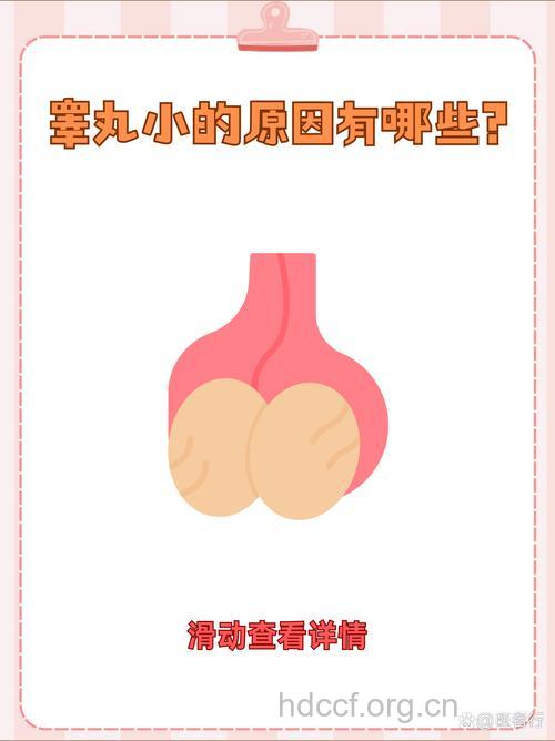 睾丸大小一定能反映不育症吗?