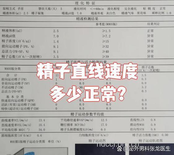 判断精子质量的检查
