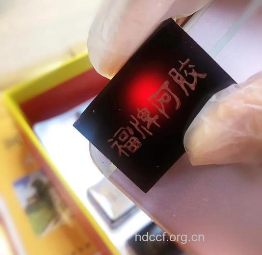 中药鉴别 辨别阿胶真假用水泡一下