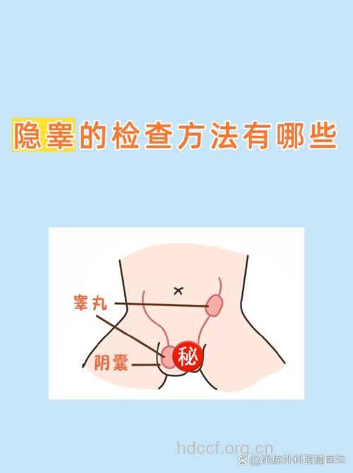 隐睾的特殊检查