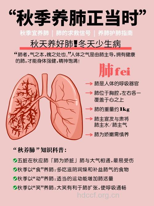 肺有六怕 秋季养肺多喝水