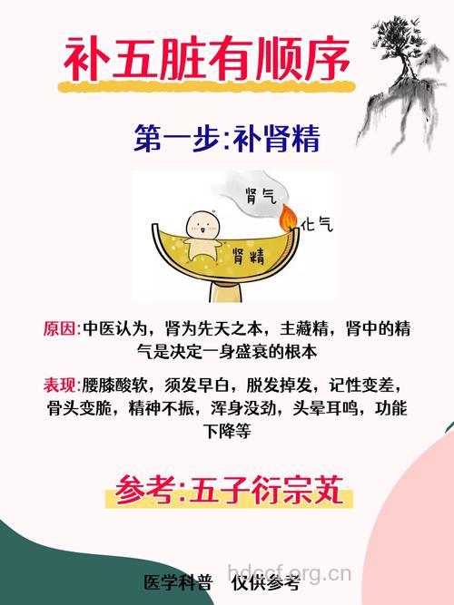 专家您讲解“护精”四原则