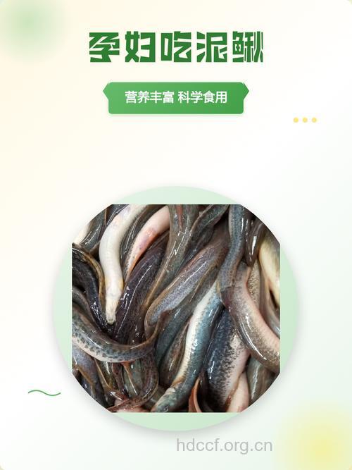 吃泥鳅5大好处与食谱 吃泥鳅禁忌