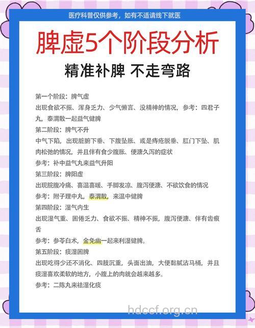 中医介绍女性脾虚症状及运动调理方法