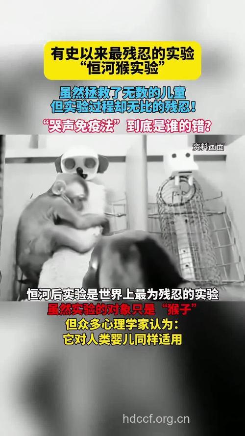 研究称猴体存有可抵抗类似艾滋病毒抗体的基因