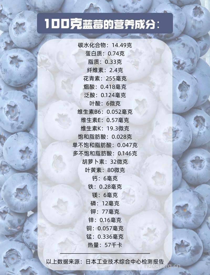 蓝莓的10大功效与7种吃法