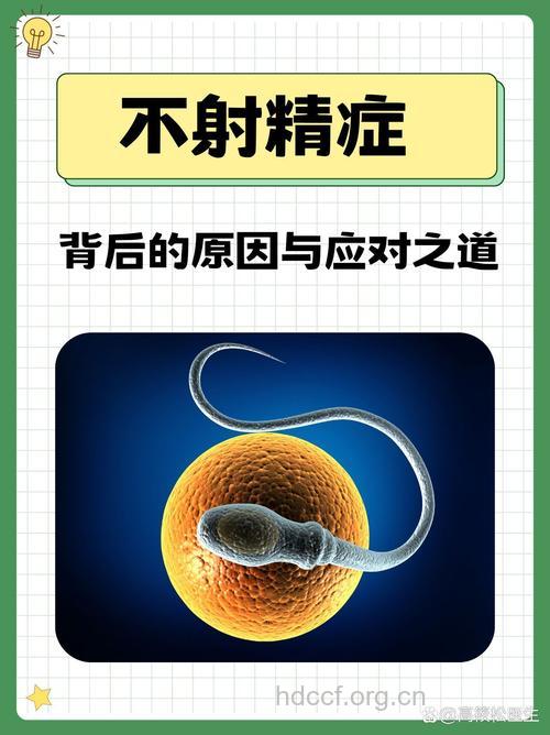 不射精症与男性不育