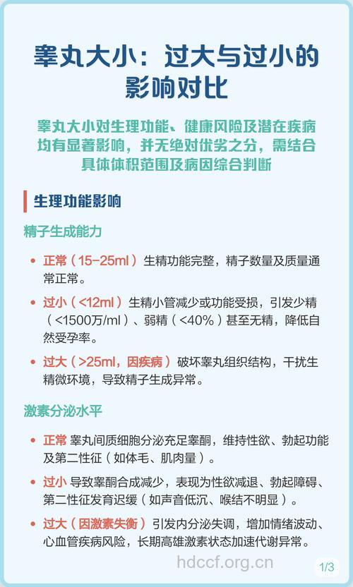 成年男人睾丸过大过小都会影响生育能力