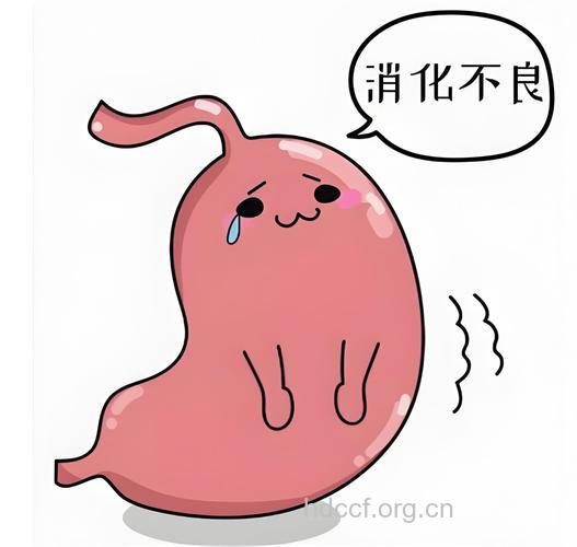 小心“肠胃焦虑症”