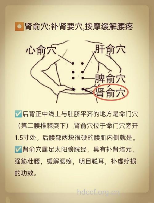 补肾穴位 按摩7大穴位可以补肾