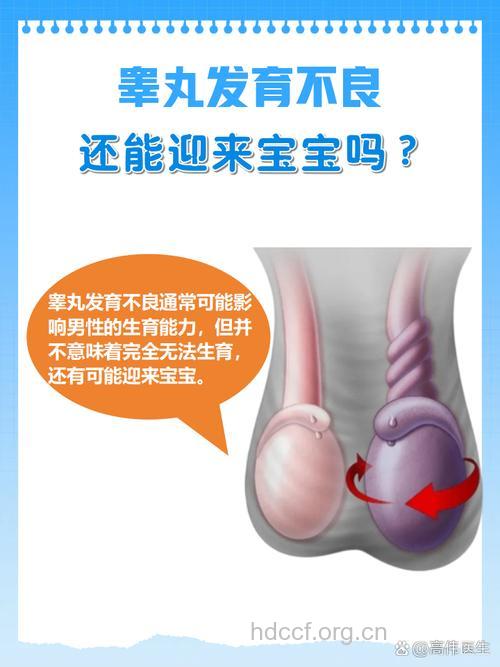 男性睾丸畸形会影响生育吗?