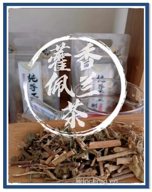 10款夏季解暑茶 脾胃虚寒喝藿香茶