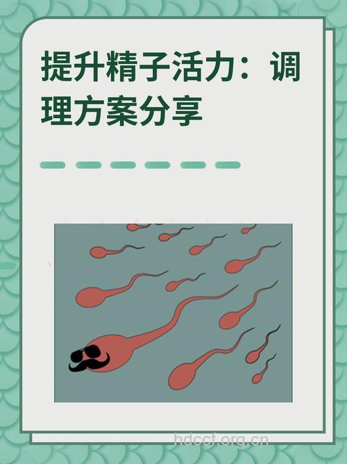 男人精子魅力指数如何提高?