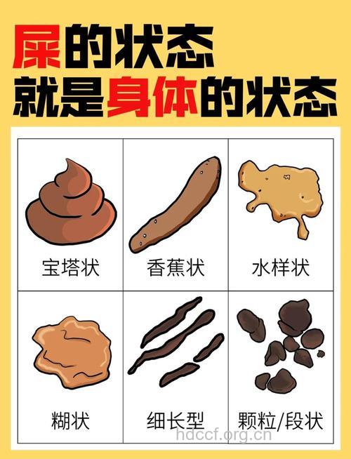 从便便颜色形状看身体健康状况