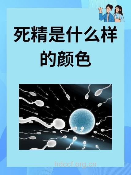 死精—男人不育的大敌！