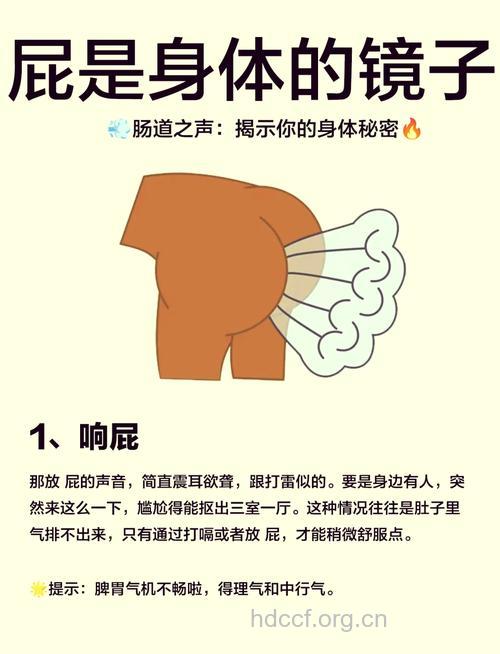放屁很健康!健康人每天放屁5-10次