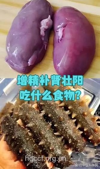 男人慎防不育少吃动物肾脏