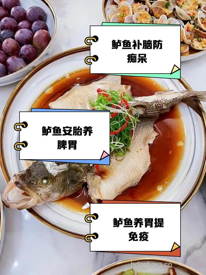 初夏养生吃鱼 草鱼明目鲈鱼补肾