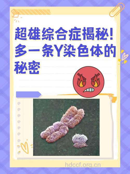 男性不育找找Y染色体的原因