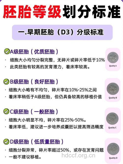 试管婴儿如何移植 成功率多大