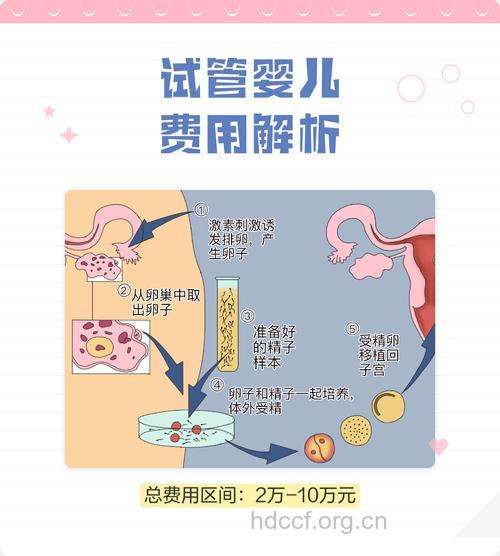 试管婴儿手术费用 影响试管婴儿费用的四大因素