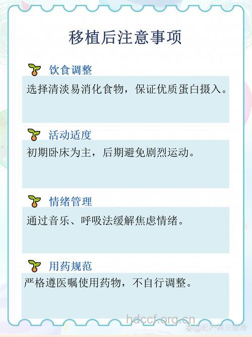 试管婴儿移植后有哪些注意事项