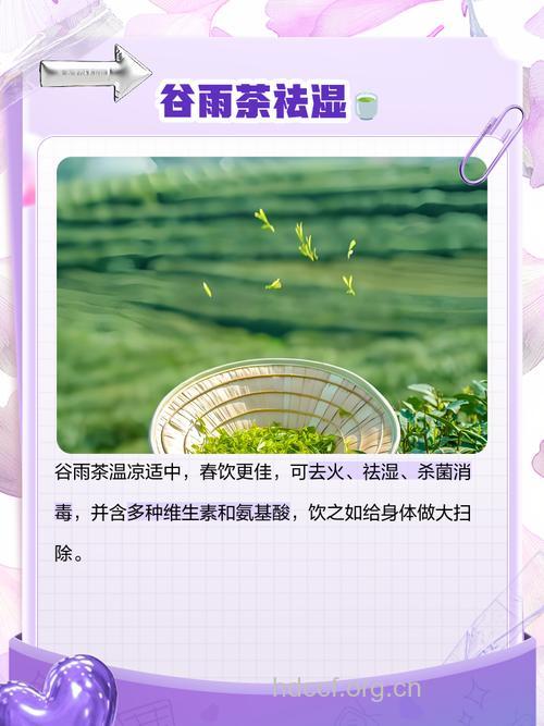 谷雨养生就喝谷雨茶 谷雨茶的功效与作用