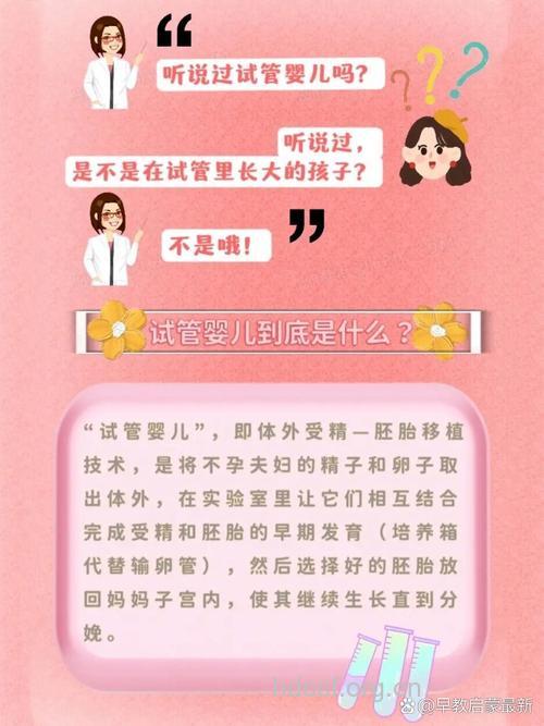 什么是试管婴儿