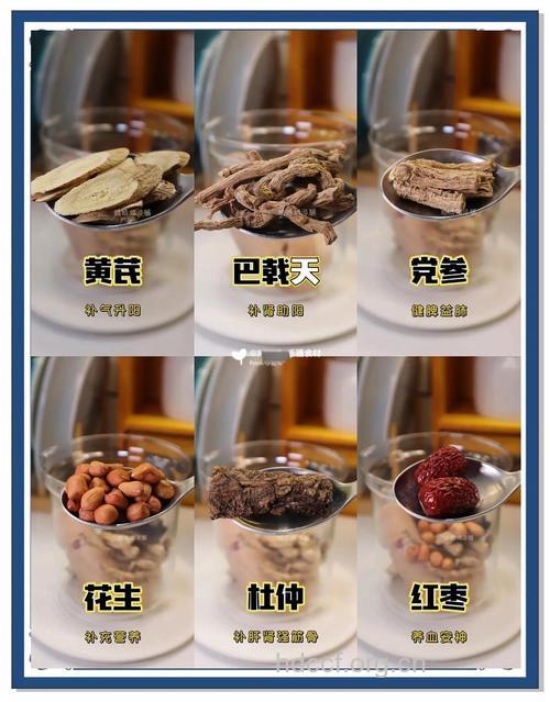 补肾食物 男人补肾5大中药材