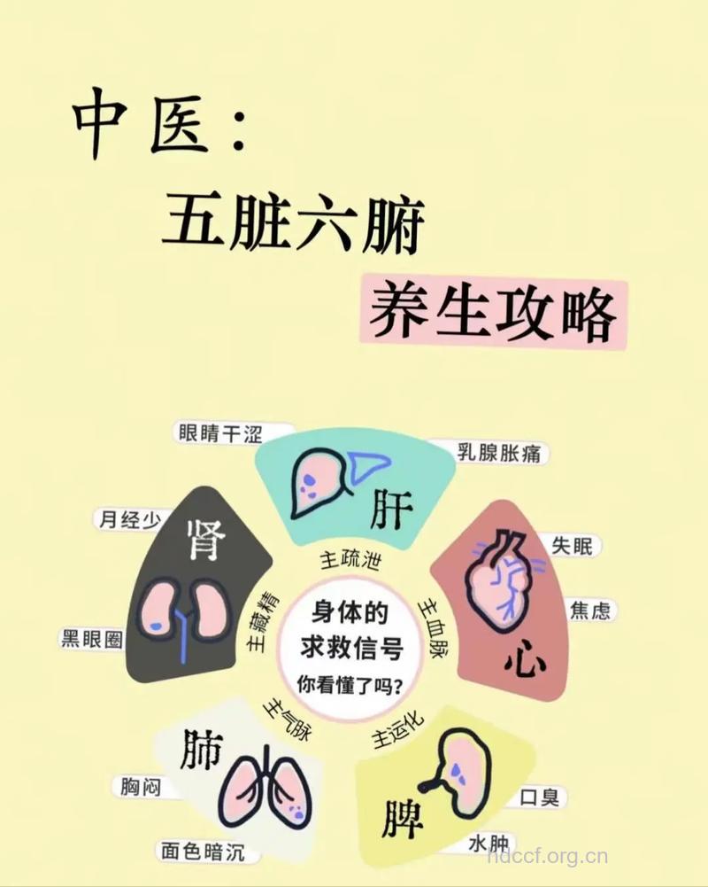 中医养生秘诀 五代中医世家养生经是什么