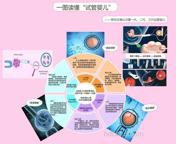 在做试管婴儿手术前要有哪些准备呢