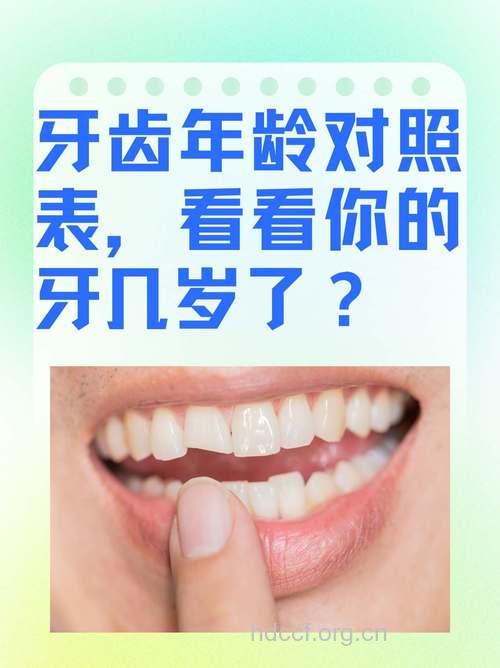 不同年龄段牙齿有什么差别