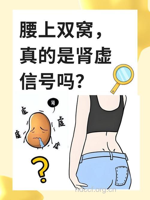 中医解读 女人腰窝不是肾虚