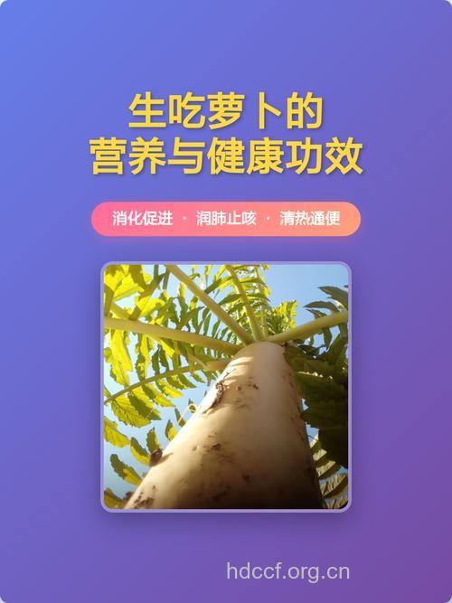 萝卜可以生吃吗 生吃萝卜的六大好处