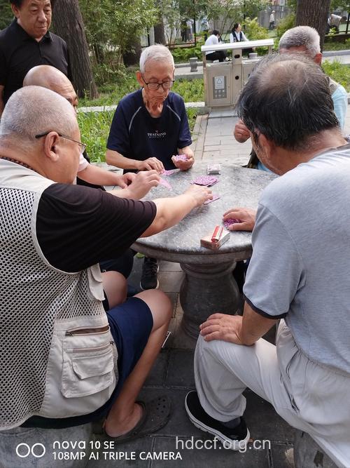 打牌下棋有助于慢性精神病康复