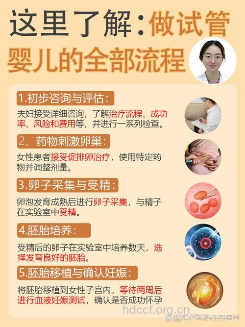 试管婴儿具体怎么操作