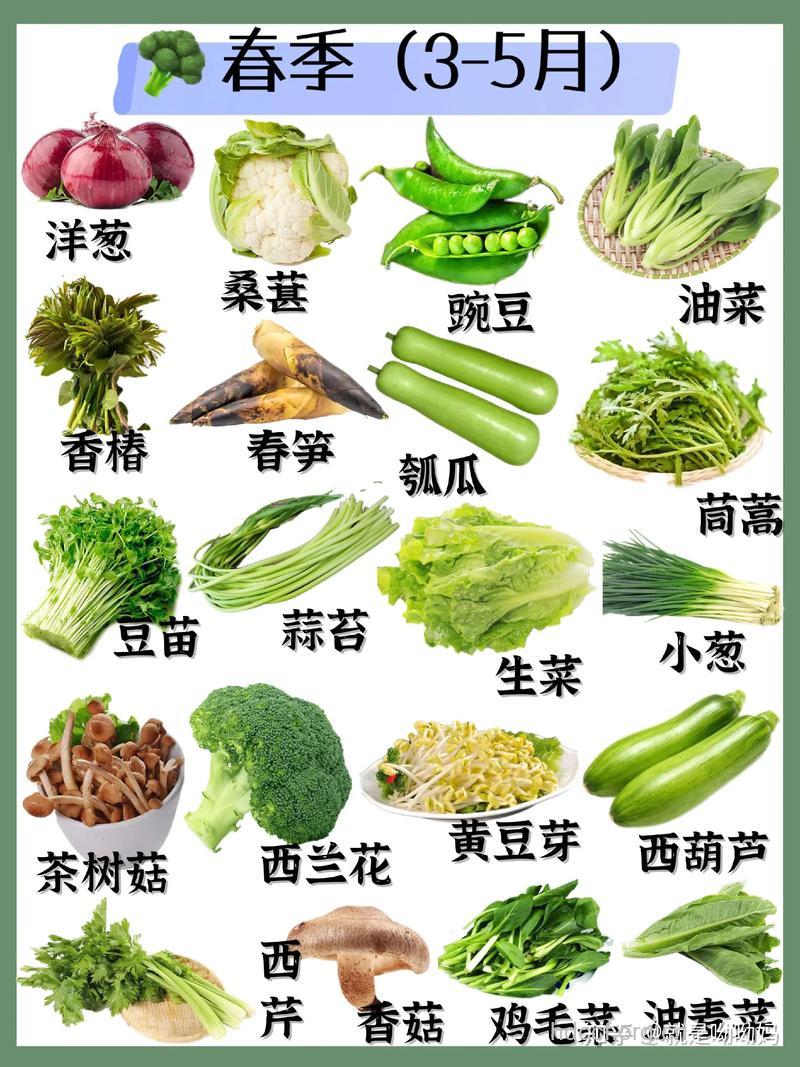 春季养生保健多吃四种蔬菜