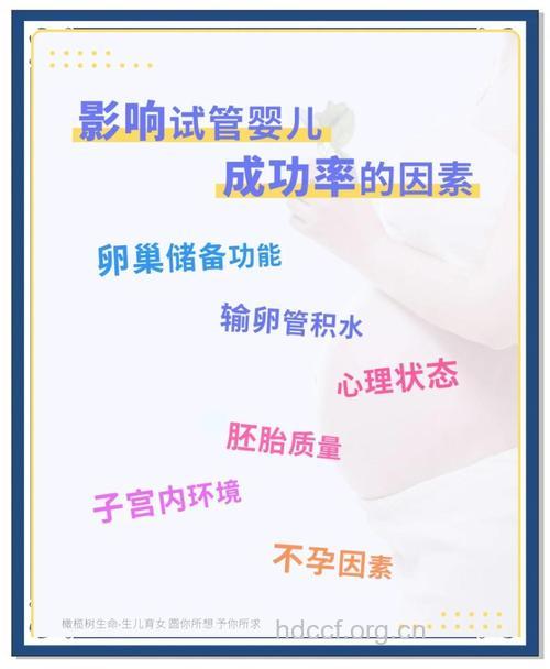 三大因素决定试管婴儿的成功率