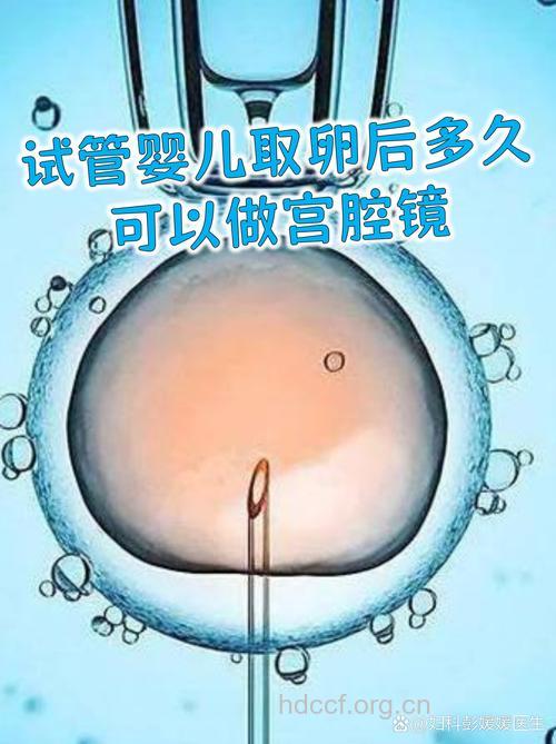 子宫不正常,可以做“试管婴儿”吗 ?