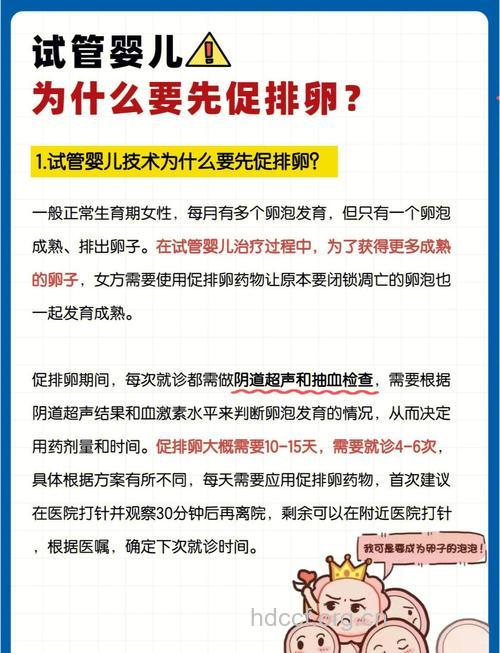 试管婴儿的超排卵用药方案