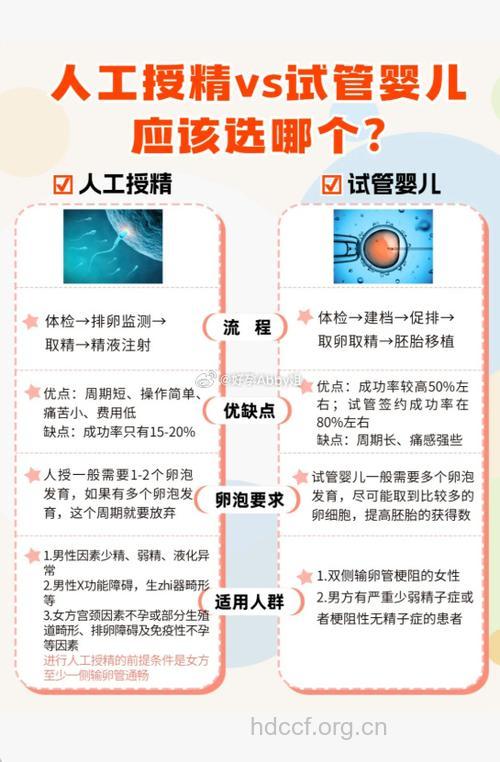 试管婴儿和人工授精是一回事吗?