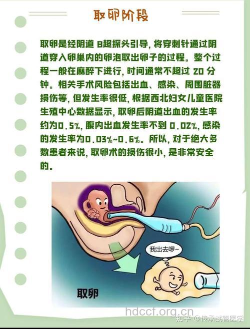 做试管婴儿会对母体造成伤害吗?