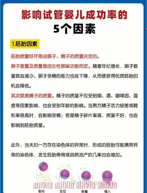影响试管婴儿成功率的4大因素