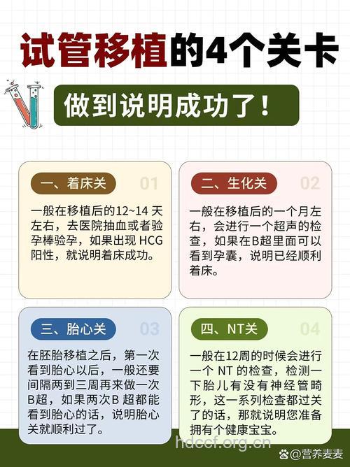 试管婴儿手术，术前需过哪些“关卡”？
