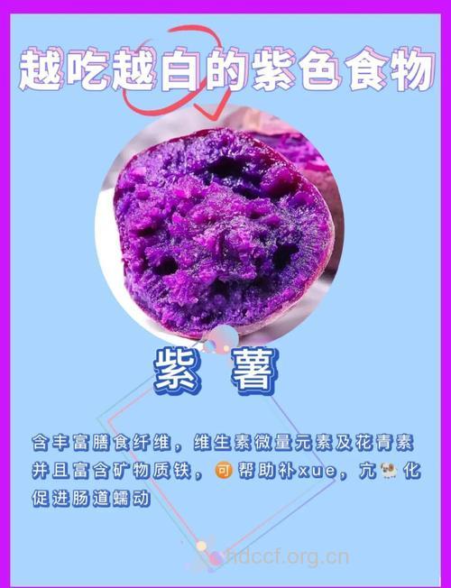 紫色食物营养好 防癌抗衰老