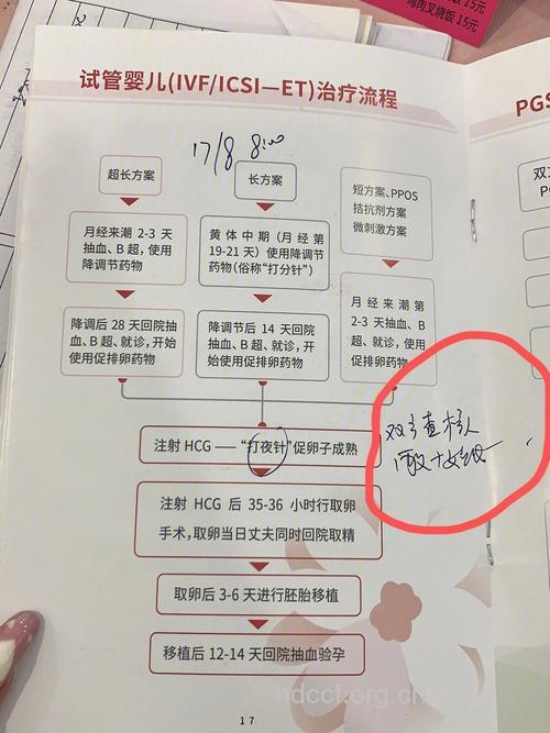 做试管婴儿手术的全程细节记录