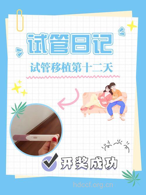 试管婴儿的孕育经历(日志分享)