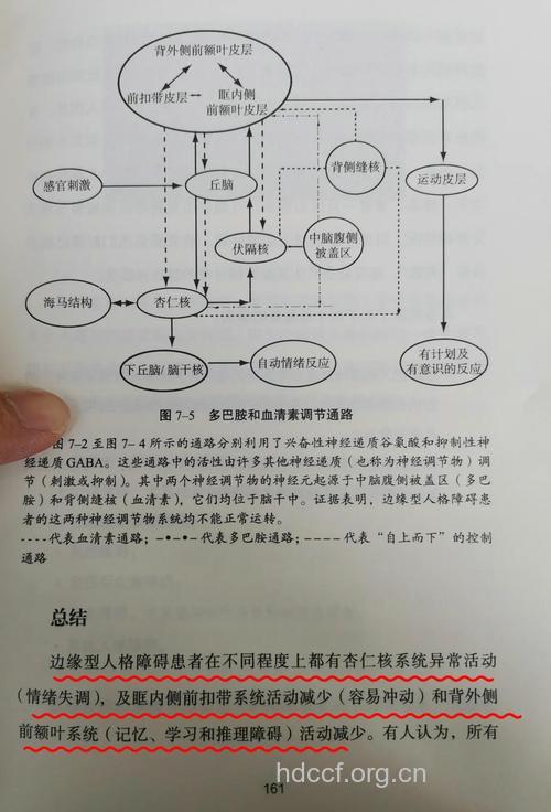 解析:什么是边缘型人格障碍