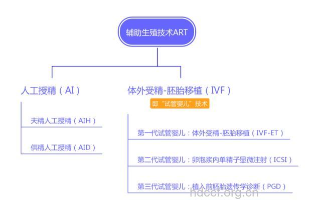 试管婴儿发展概述