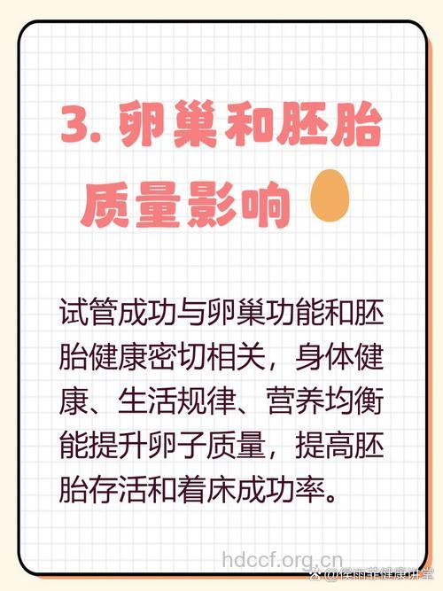 做试管婴儿的成功率有多大?